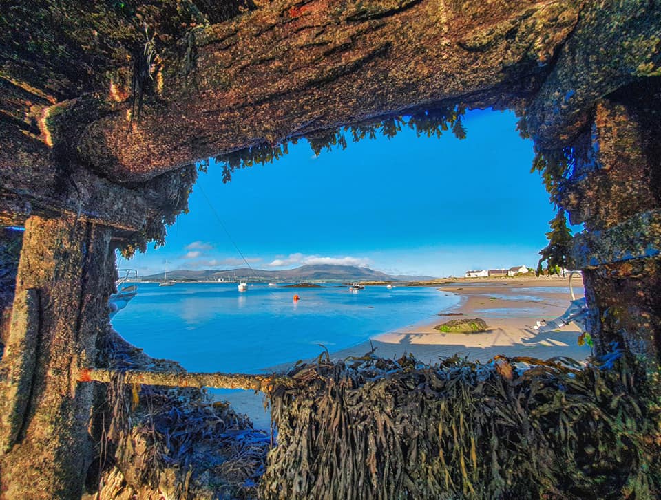 Chestnutt Holiday Parks; Chestnutt Holiday Park; Image