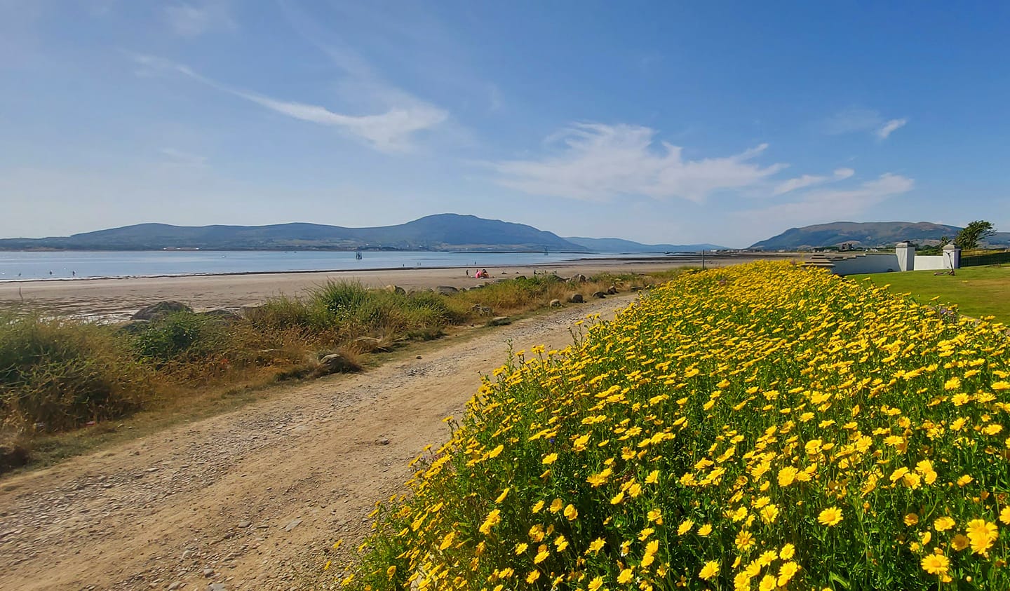 Chestnutt Holiday Parks; Chestnutt Holiday Park; Image