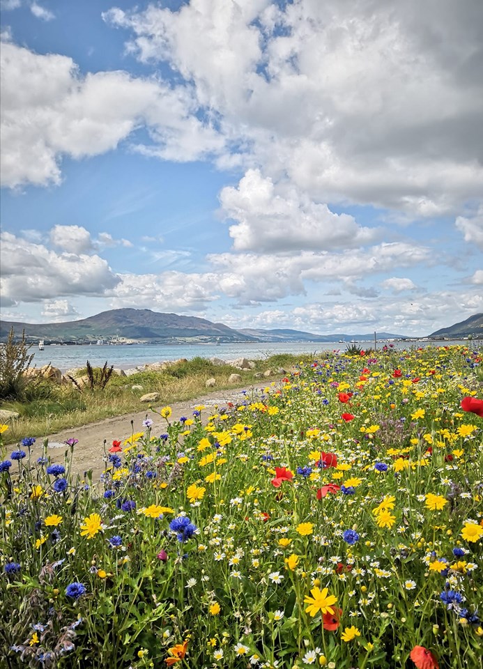 Chestnutt Holiday Parks; Loughside Holiday Park; Image